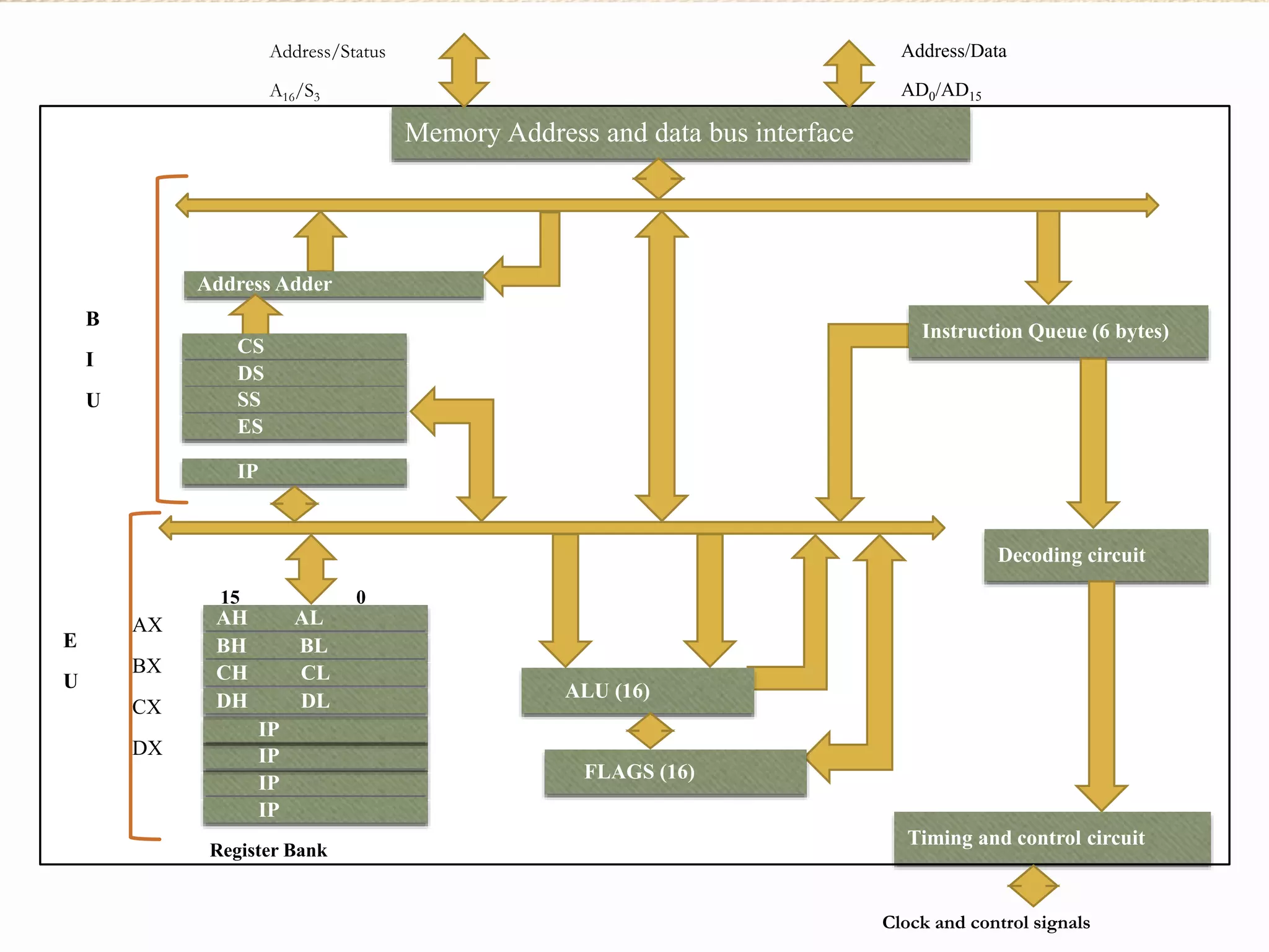 Memory Address and data bus interface 
Address/Status 
A16/S3 
Address/Data 
AD0/AD15 
Instruction Queue (6 bytes) 
Decoding circuit 
Timing and control circuit 
Clock and control signals 
Address Adder 
CS 
DS 
SS 
ES 
IP 
ALU (16) 
FLAGS (16) 
15 0 
AH AL 
BH BL 
CH CL 
DH DL 
IP 
IP 
IP 
IP 
AX 
BX 
CX 
DX 
Register Bank 
B 
I 
U 
E 
U 
 