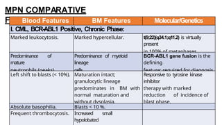MPN COMPARATIVE
FEATURES:
Blood Features BM Features Molecular/Genetics
I. CML, BCR-ABL1 Positive, Chronic Phase:
Marked leukocytosis. Marked hypercellular. t(9;22)(q34.1;q11.2) is virtually
present
in 100% of metaphases.
Predominance of
mature
neutrophils (peaks).
Predominance of myeloid
lineage
cells.
BCR-ABL1 gene fusion is the
defining
feature; required for diagnosis.
Left shift to blasts (< 10%). Maturation intact;
granulocytic lineage
predominates in BM with
normal maturation and
without dysplasia.
Responsive to tyrosine kinase
inhibitor
therapy with marked
reduction of incidence of
blast phase.
Absolute basophilia. Blasts < 10 %.
Frequent thrombocytosis. Increased small
hypolobated
 