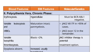 Blood Features BM Features Molecular/Genetics
II. Polycythemia Vera, Chronic Phase:
Erythrocytosis. Hypercellular
. Must be BCR-ABL1
negative.
Variable leukocytosis
and
nRBCs.
Maturation intact;
panmyelosis.
o JAK2 V617F in >95% of
cases.
o JAK2 exon 12 in the
remainder.
Variable
basophilia;
thrombocytosis.
Blasts <2%. JAK2 inhibitor therapy is
potential
treatment option.
Dysplasia absent. Increased, usually
 