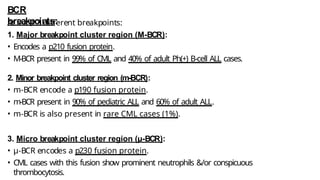 BCR
breakpoints:
At least 3 different breakpoints:
1. Major breakpoint cluster region (M-BCR):
• Encodes a p210 fusion protein.
• M-BCR present in 99% of CML and 40% of adult Ph(+) B-cell ALL cases.
2. Minor breakpoint cluster region (m-BCR):
• m-BCR encode a p190 fusion protein.
• m-BCR present in 90% of pediatric ALL and 60% of adult ALL.
• m-BCR is also present in rare CML cases (1%).
3. Micro breakpoint cluster region (µ-BCR):
• µ-BCR encodes a p230 fusion protein.
• CML cases with this fusion show prominent neutrophils &/or conspicuous
thrombocytosis.
 