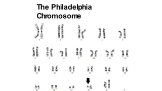 The Philadelphia
Chromosome
 