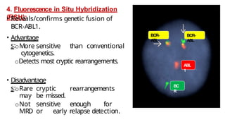 4. Fluorescence in Situ Hybridization
(FISH):
• Reveals/confirms genetic fusion of
BCR-ABL1.
• Advantage
s:oMore sensitive than conventional
cytogenetics.
oDetects most cryptic rearrangements.
• Disadvantage
s:oRare cryptic rearrangements
may be missed.
oNot sensitive enough for
MRD or early relapse detection.
BC
R
ABL
1
BCR-
ABL
BCR-
ABL
 