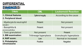 DIFFERENTIAL
DIAGNOSIS:
1. Leukemoid
reaction:Criteria CML Leukemoid Reaction
1. Clinical features Splenomegaly According to the cause
2. Peripheral blood:
- Myelocyte & neutrophil
peaks:
Present Not present
- Basophilia &
eosinophilia:
Present Not present
- Toxic granulation: Not present Present
3. BM examination: Trilineage hyperplasia Granulocytic hyperplasia
4. NAP score: Low Normal or increased
5. Philadelphia
chromosome
Positive Negative
 