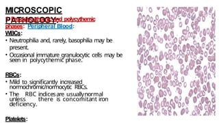 MICROSCOPIC
PATHOLOGY:
1. Pre-polycythemic and polycythemic
phases: Peripheral Blood:
WBCs:
• Neutrophilia and, rarely, basophilia may be
present.
• Occasional immature granulocytic cells may be
seen in polycythemic phase.
RBCs:
• Mild to significantly increased
normochromic/normocytic RBCs.
• The RBC indicesare usuallynormal
unless there is concomitant iron
deficiency.
Platelets:
 