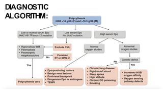 DIAGNOSTIC
ALGORITHM:
 