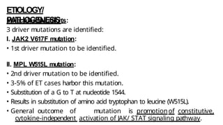 ETIOLOGY/
PATHOGENESIS:
Molecular Mutations:
3 driver mutations are identified:
I. JAK2 V617F mutation:
• 1st driver mutation to be identified.
II. MPL W515L mutation:
• 2nd driver mutation to be identified.
• 3-5% of ET cases harbor this mutation.
• Substitution of a G to T at nucleotide 1544.
• Results in substitution of amino acid tryptophan to leucine (W515L).
• General outcome of mutation is promotionof constitutive,
cytokine-independent activation of JAK/ STAT signaling pathway.
 