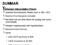 Pathologic Interpretation Pearls:
 Sustained thrombocytosis: Platelet count ≥ 450 x 10⁹/L.
 Reactive thrombocytosis excluded.
 Red blood cell and white blood cell cytology and counts
unremarkable.
 Enlarged megakaryocytes with hyperlobulation.
 Absent/minimal fibrosis.
 Clonal:
o JAK2 V617F positivity in 60%.
o CALR mutations in 20-25%.
SUMMAR
Y:
 