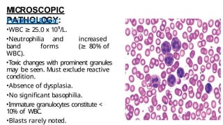MICROSCOPIC
PATHOLOGY:
Peripheral Blood:
•WBC ≥ 25.0 x 10⁹/L.
•Neutrophilia and increased
band forms (≥ 80% of
WBC).
•Toxic changes with prominent granules
may be seen. Must exclude reactive
condition.
•Absence of dysplasia.
•No significant basophilia.
•Immature granulocytes constitute <
10% of WBC.
•Blasts rarely noted.
 