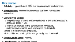 Bone marrow:
• Cellularity: Hypercellular; > 90%; due to granulocytic predominance.
• Erythroid series: Reduced in percentage but show normoblastic
maturation.
• Granulocytic Series:
oThe percentage of blasts and promyelocytes in BM is not increased at
diagnosis (Blasts < 5%).
oThere is an increase in the percentage of myelocytes,
metamyelocytes, bands, and segmented neutrophils.
oThere is no significant dysplasia.
oBasophilia and eosinophilia are generally not observed.
• Megakaryocytic Series: Normal.
 