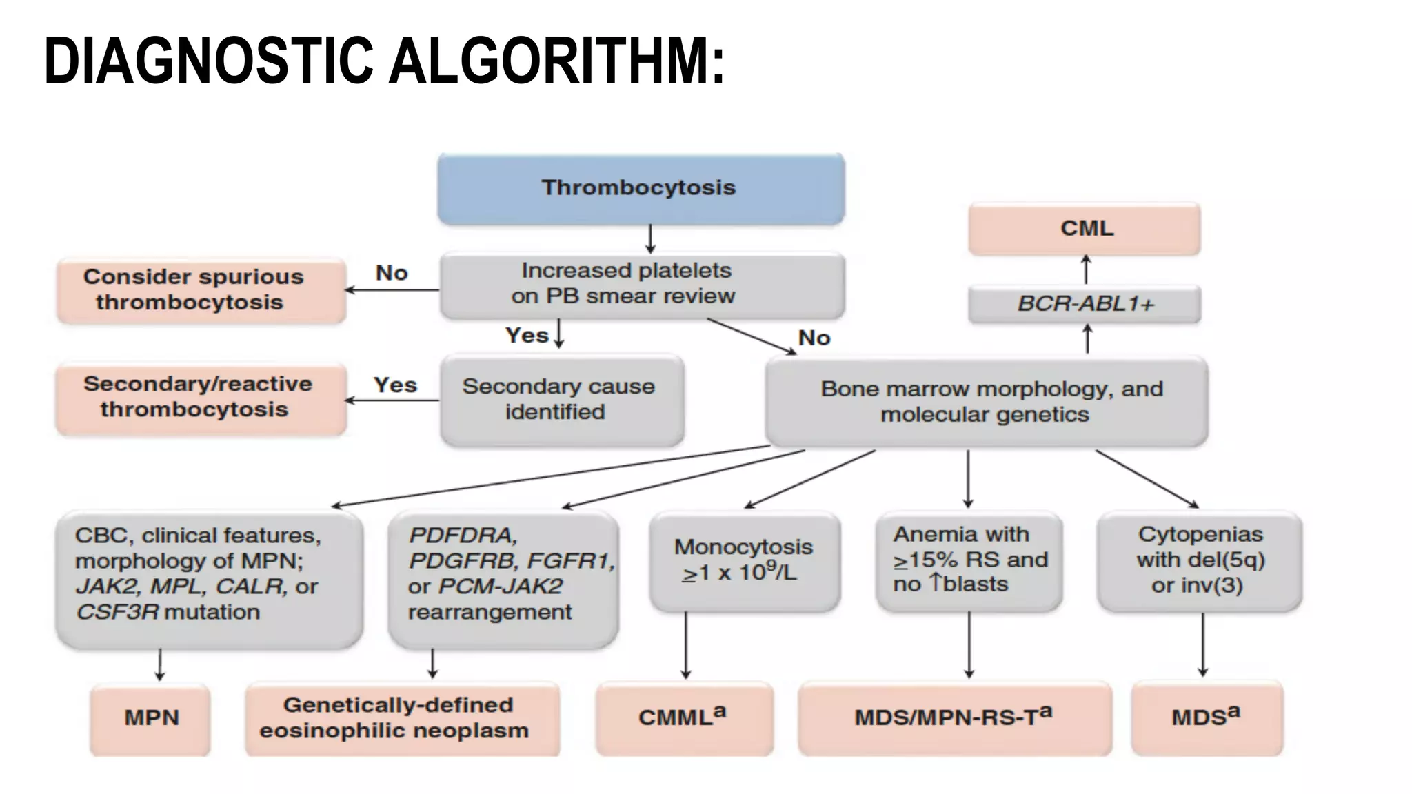 DIAGNOSTIC ALGORITHM:
 