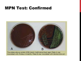 MPN and estimating coliforms for water quality assessment(2) (1).ppt