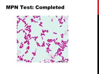 MPN and estimating coliforms for water quality assessment(2) (1).ppt
