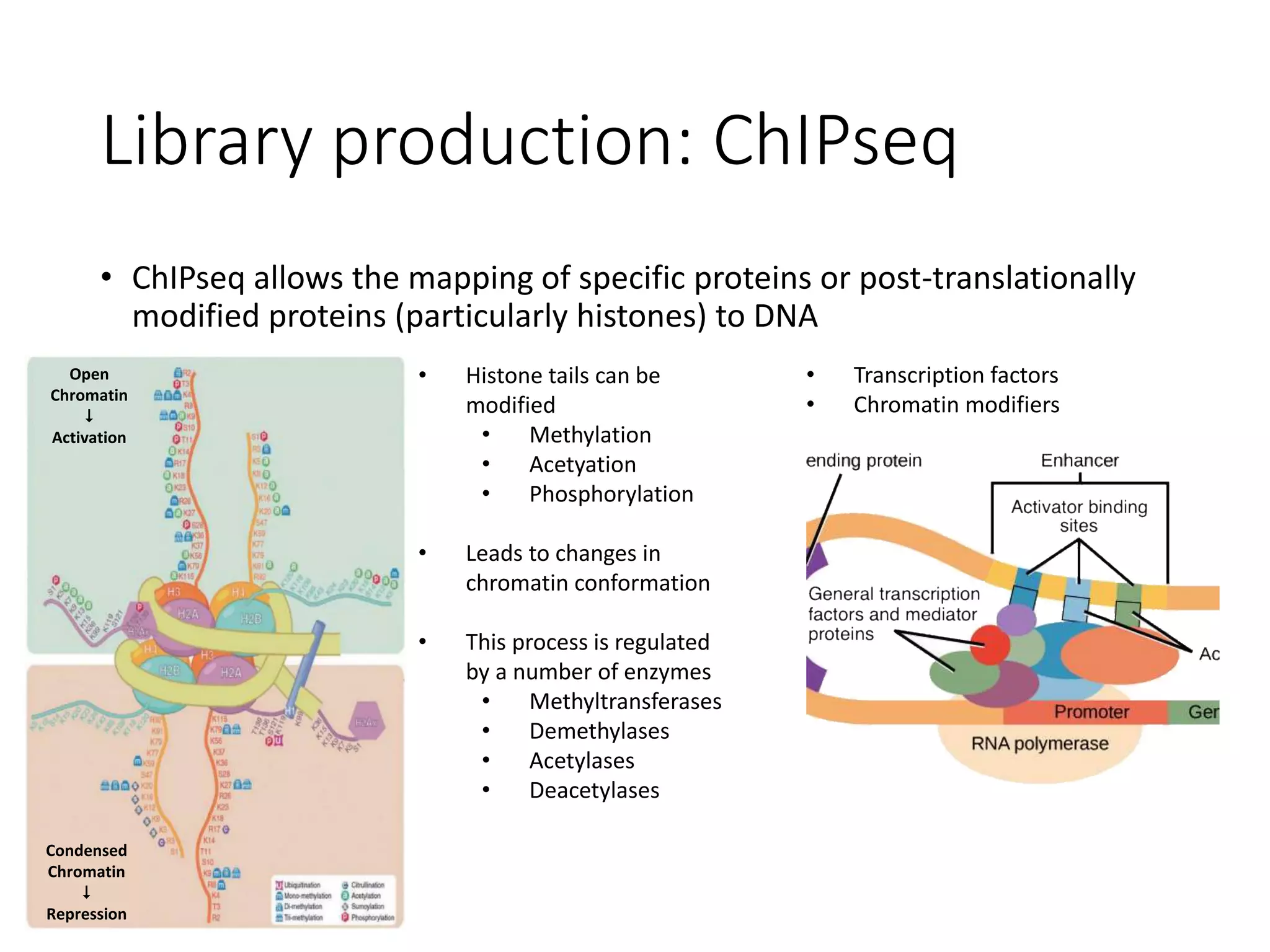 Library production: ChIPseq
• ChIPseq allows the mapping of specific proteins or post-translationally
modified proteins (particularly histones) to DNA
Open
Chromatin

Activation
Condensed
Chromatin

Repression
• Histone tails can be
modified
• Methylation
• Acetyation
• Phosphorylation
• Leads to changes in
chromatin conformation
• This process is regulated
by a number of enzymes
• Methyltransferases
• Demethylases
• Acetylases
• Deacetylases
• Transcription factors
• Chromatin modifiers
 