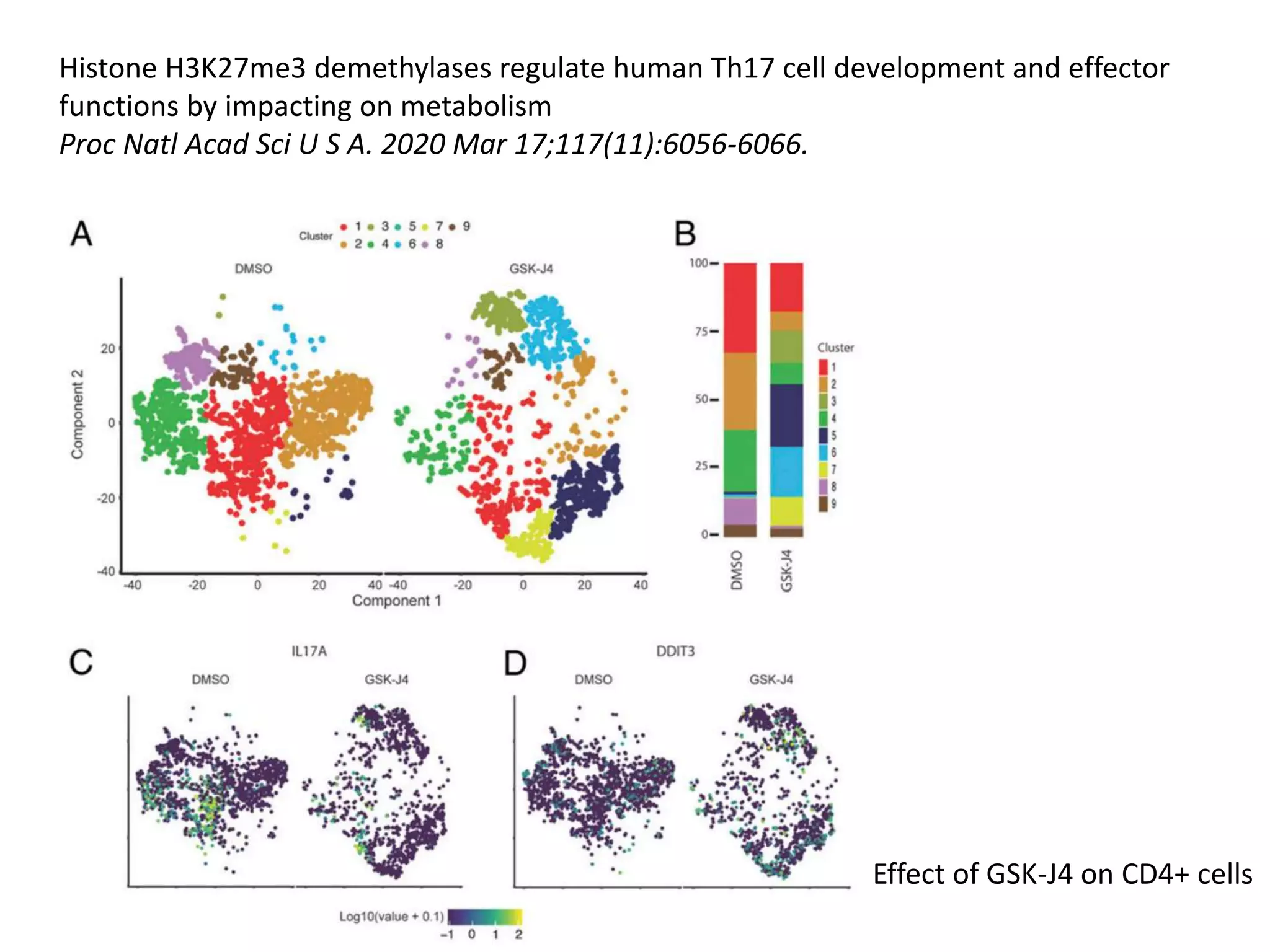 Histone H3K27me3 demethylases regulate human Th17 cell development and effector
functions by impacting on metabolism
Proc Natl Acad Sci U S A. 2020 Mar 17;117(11):6056-6066.
Effect of GSK-J4 on CD4+ cells
 