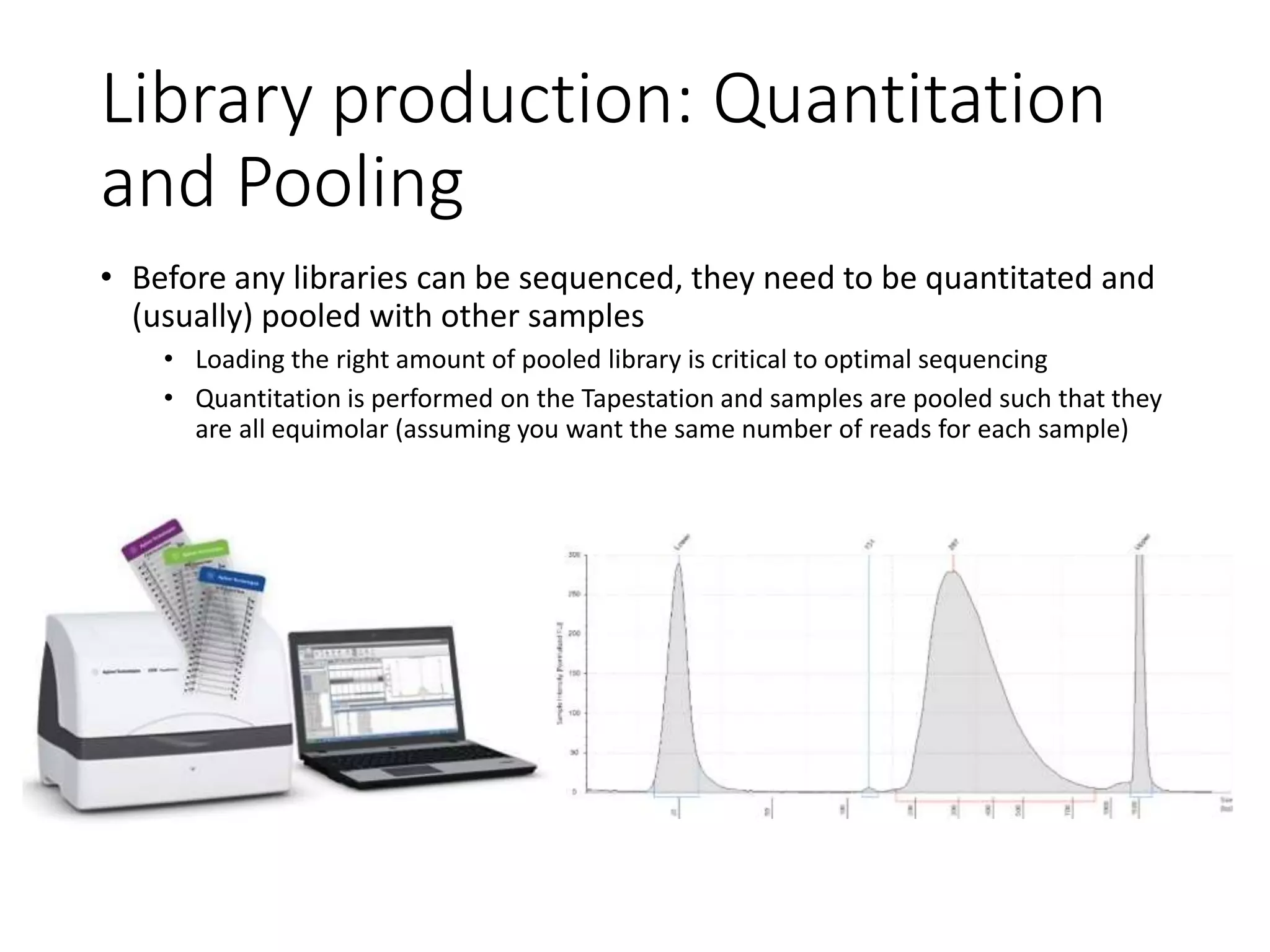 Library production: Quantitation
and Pooling
• Before any libraries can be sequenced, they need to be quantitated and
(usually) pooled with other samples
• Loading the right amount of pooled library is critical to optimal sequencing
• Quantitation is performed on the Tapestation and samples are pooled such that they
are all equimolar (assuming you want the same number of reads for each sample)
 
