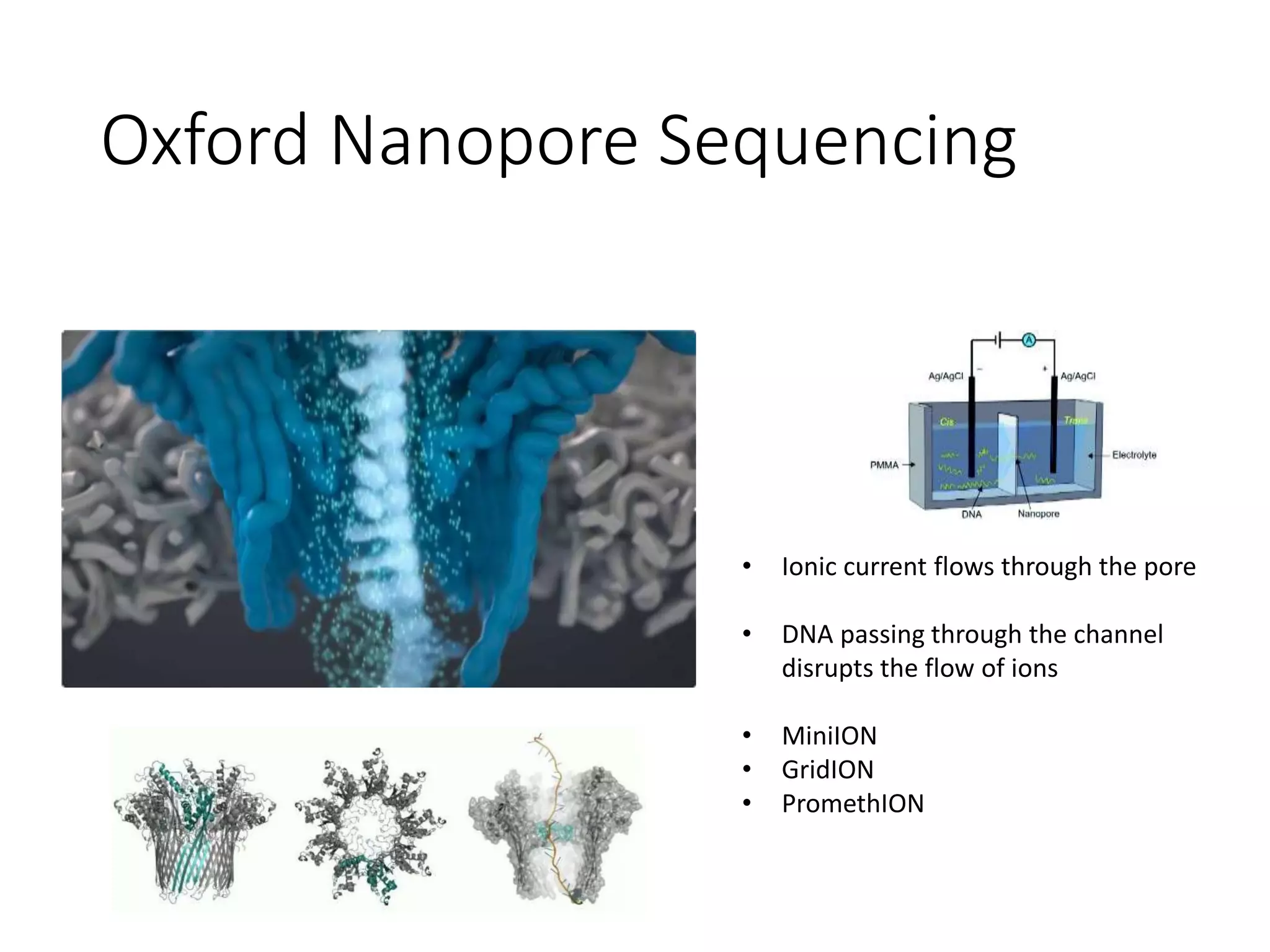 Oxford Nanopore Sequencing
• Ionic current flows through the pore
• DNA passing through the channel
disrupts the flow of ions
• MiniION
• GridION
• PromethION
 
