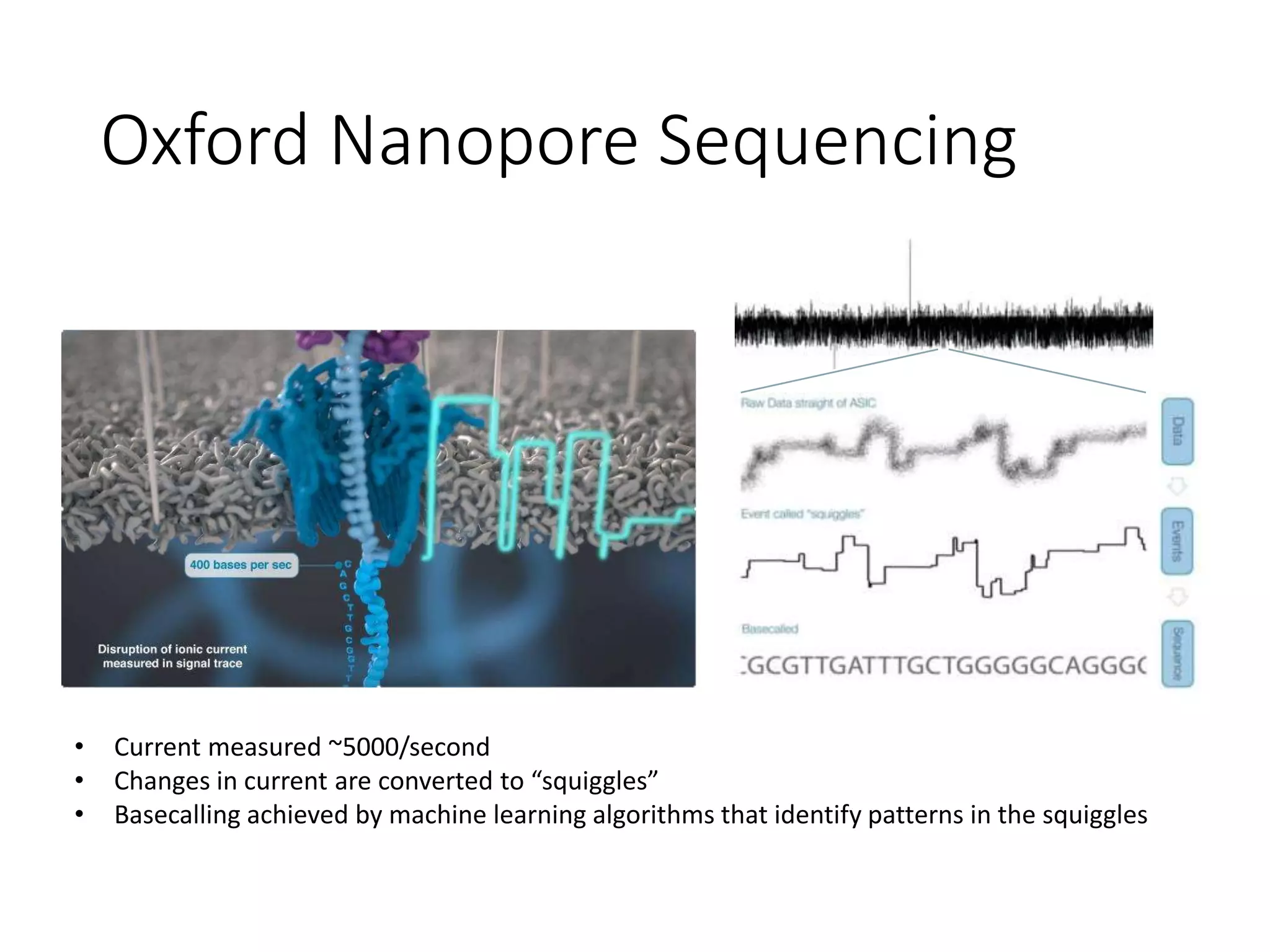 Oxford Nanopore Sequencing
• Current measured ~5000/second
• Changes in current are converted to “squiggles”
• Basecalling achieved by machine learning algorithms that identify patterns in the squiggles
 