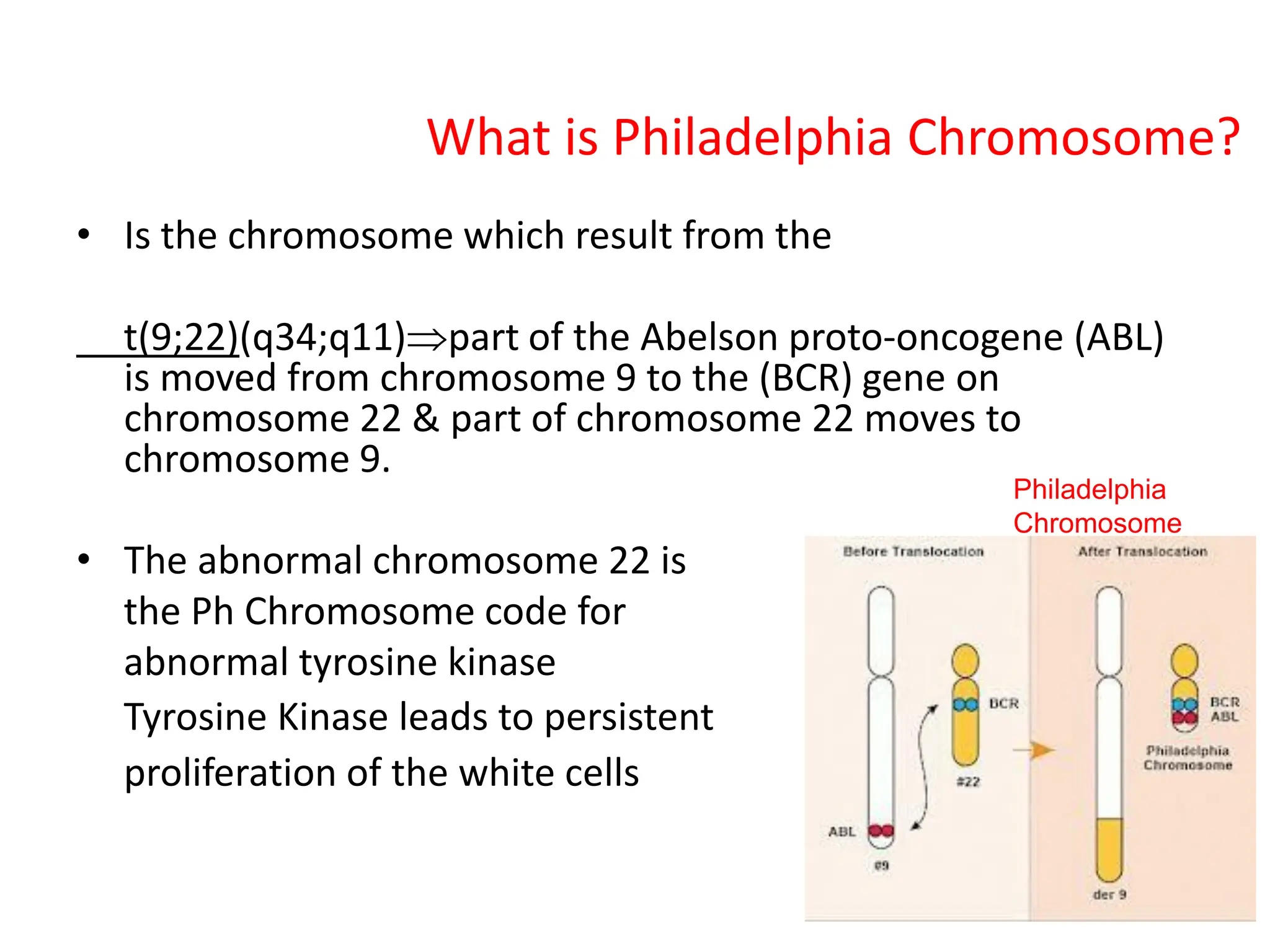 What is Philadelphia Chromosome?
• Is the chromosome which result from the
t(9;22)(q34;q11)part of the Abelson proto-oncogene (ABL)
is moved from chromosome 9 to the (BCR) gene on
chromosome 22 & part of chromosome 22 moves to
chromosome 9.
• The abnormal chromosome 22 is
the Ph Chromosome code for
abnormal tyrosine kinase
Tyrosine Kinase leads to persistent
proliferation of the white cells
Philadelphia
Chromosome
 