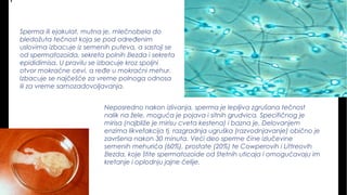 Sperma ili ejakulat, mutna je, mlečnobela do
bledožuta tečnost koja se pod određenim
uslovima izbacuje iz semenih puteva, a sastoji se
od spermatozoida, sekreta polnih žlezda i sekreta
epididimisa. U pravilu se izbacuje kroz spoljni
otvor mokraćne cevi, a ređe u mokraćni mehur.
Izbacuje se najčešće za vreme polnoga odnosa
ili za vreme samozadovoljavanja.
Neposredno nakon izlivanja, sperma je lepljiva zgrušana tečnost
nalik na žele, moguća je pojava i sitnih grudvica. Specifičnog je
mirisa (najbliže je mirisu cveta kestena) i bazna je, Delovanjem
enzima likvefakcija tj. razgradnja ugruška (razvodnjavanje) obično je
završena nakon 30 minuta. Veći deo sperme čine izlučevine
semenih mehurića (60%), prostate (20%) te Cowperovih i Littreovih
žlezda, koje štite spermatozoide od štetnih uticaja i omogućavaju im
kretanje i oplodnju jajne ćelije.
 