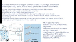 Muški polni hormoni ili androgeni hormoni sintetišu se u Lejdigovim ćelijama
(intersticijske ćelije) testisa. Glavni među njima su testosteron i androsteron.
Lučenje ovih hormona regulisano je pomoću dva gonadostimulina adenohipofize:
FSH koji stimuliše rast i funkciju semenih kanalića semenika i
LH stimuliše Lejdigove ćelije na lučenje testosterona.
Početkom puberteta pod uticajem FSH i LH, njihova proizvodnja naglo raste i dovodi:
do višestrukog uvećanja testisa, mošnica, prostate, semenih vezikula i penisa (primarne polne
karakteristike)
pojave sekundarnih polnih karakteristika (muški tip kosmatosti, razvijeni mišići i skelet, široka ramena,
dubok glas, bazalni metabolizam veći nego kod žena).
Muški polni hormoni:
stimulišu procese anabolizma u
organizmu
ubrzavaju rast i razviće organa
mladih organizama
regulišu promet azota i kalcijuma
postiču sintezu DNK i RNK
stimulišu stvaranje specifičnih
ribozomskih proteina.
 