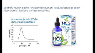 Kontrolu muskih polnih funkcija vrše humani horionski gonadotropin i
hipotalamo-hipofizno gonadna osovina.
 