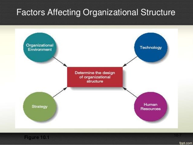 Factors Affecting Organizational Structure