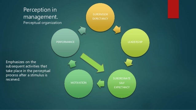 PERCEPTION IN ORGANISATIONAL BEHAVIOUR