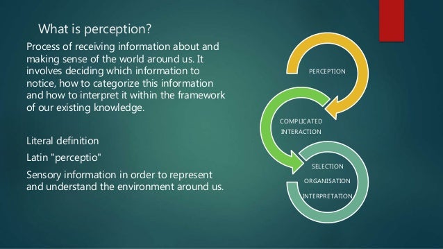 PERCEPTION IN ORGANISATIONAL BEHAVIOUR elements of self diagram 