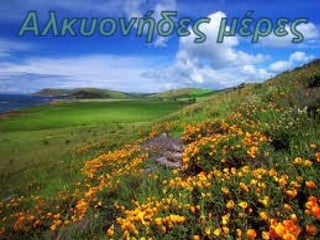 Ο μύθος της Αλκυόνης