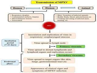 Monkeypox Risk Group Monkey pox ppt guidelines and management | PPTX