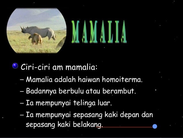 Sains Sekolah Rendah