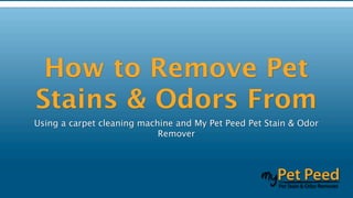 How to Remove Pet
Stains & Odors From
Using a carpet cleaning machine and My Pet Peed Pet Stain & Odor
                            Remover
 