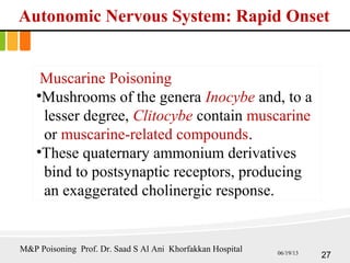 Autonomic Nervous System: Rapid Onset
Muscarine Poisoning
•Mushrooms of the genera Inocybe and, to a
lesser degree, Clitocybe contain muscarine
or muscarine-related compounds.
•These quaternary ammonium derivatives
bind to postsynaptic receptors, producing
an exaggerated cholinergic response.
27
M&P Poisoning Prof. Dr. Saad S Al Ani Khorfakkan Hospital 06/19/13
 