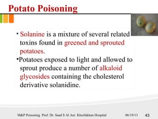 Potato Poisoning
• Solanine is a mixture of several related
toxins found in greened and sprouted
potatoes.
•Potatoes exposed to light and allowed to
sprout produce a number of alkaloid
glycosides containing the cholesterol
derivative solanidine.
M&P Poisoning Prof. Dr. Saad S Al Ani Khorfakkan Hospital 06/19/13 43
 