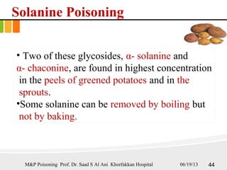 Solanine Poisoning
• Two of these glycosides, α- solanine and
α- chaconine, are found in highest concentration
in the peels of greened potatoes and in the
sprouts.
•Some solanine can be removed by boiling but
not by baking.
M&P Poisoning Prof. Dr. Saad S Al Ani Khorfakkan Hospital 06/19/13 44
 