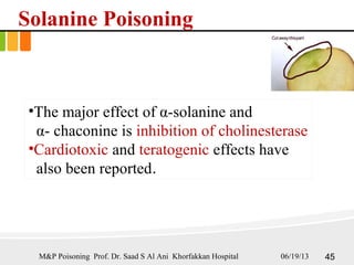 Solanine Poisoning
•The major effect of α-solanine and
α- chaconine is inhibition of cholinesterase
•Cardiotoxic and teratogenic effects have
also been reported.
4506/19/13M&P Poisoning Prof. Dr. Saad S Al Ani Khorfakkan Hospital
 