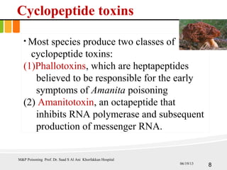 • Most species produce two classes of
cyclopeptide toxins:
(1)Phallotoxins, which are heptapeptides
believed to be responsible for the early
symptoms of Amanita poisoning
(2) Amanitotoxin, an octapeptide that
inhibits RNA polymerase and subsequent
production of messenger RNA.
Cyclopeptide toxins
M&P Poisoning Prof. Dr. Saad S Al Ani Khorfakkan Hospital
806/19/13
 