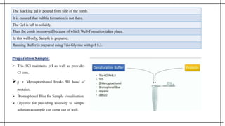 The Stacking gel is poured from side of the comb.
It is ensured that bubble formation is not there.
The Gel is left to solidify.
Then the comb is removed because of which Well-Formation takes place.
In this well only, Sample is prepared.
Running Buffer is prepared using Tris-Glycine with pH 8.3.
Preparation Sample:
 Tris-HCl maintains pH as well as provides
Cl ions.
ᵦ - Mercaptoethanol breaks SH bond of
proteins.
 Bromophenol Blue for Sample visualisation.
 Glycerol for providing viscosity to sample
solution as sample can come out of well.
 