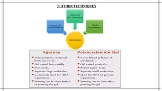 2. OTHER TECHNIQUES
TECHNIQUES
AGAROSE GEL
ELECTROPHORESIS
STARCH GEL
ELECTROPHORESIS
2-D PAGE
ELECTROPHORESIS
 