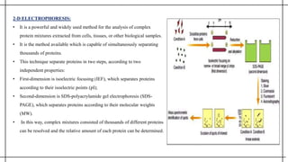 2-D ELECTROPHORESIS:
• It is a powerful and widely used method for the analysis of complex
protein mixtures extracted from cells, tissues, or other biological samples.
• It is the method available which is capable of simultaneously separating
thousands of proteins.
• This technique separate proteins in two steps, according to two
independent properties:
• First-dimension is isoelectric focusing (IEF), which separates proteins
according to their isoelectric points (pI);
• Second-dimension is SDS-polyacrylamide gel electrophoresis (SDS-
PAGE), which separates proteins according to their molecular weights
(MW).
• In this way, complex mixtures consisted of thousands of different proteins
can be resolved and the relative amount of each protein can be determined.
 