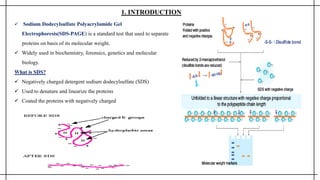 1. INTRODUCTION
 Sodium Dodecylsulfate Polyacrylamide Gel
Electrophoresis(SDS-PAGE) is a standard test that used to separate
proteins on basis of its molecular weight.
 Widely used in biochemistry, forensics, genetics and molecular
biology.
What is SDS?
 Negatively charged detergent sodium dodecylsulfate (SDS)
 Used to denature and linearize the proteins
 Coated the proteins with negatively charged
 