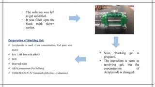 • The solution was left
to get solidified.
• It was filled upto the
black mark shown
earlier.
• Now, Stacking gel is
prepared.
• The ingredient is same as
resolving gel, but the
concentration of
Acrylamide is changed.
Preparation of Stacking Gel:
 Acrylamide is used. (Less concentration, Gel pore size
more)
 It is 1.5M Tris with pH 6.8
 SDS
 Distilled water
 APS (Ammonium Per Sulfate)
 TEMED(N,N,N’,N’ Tetramethylrthylrnr-1,2-diamine)
 