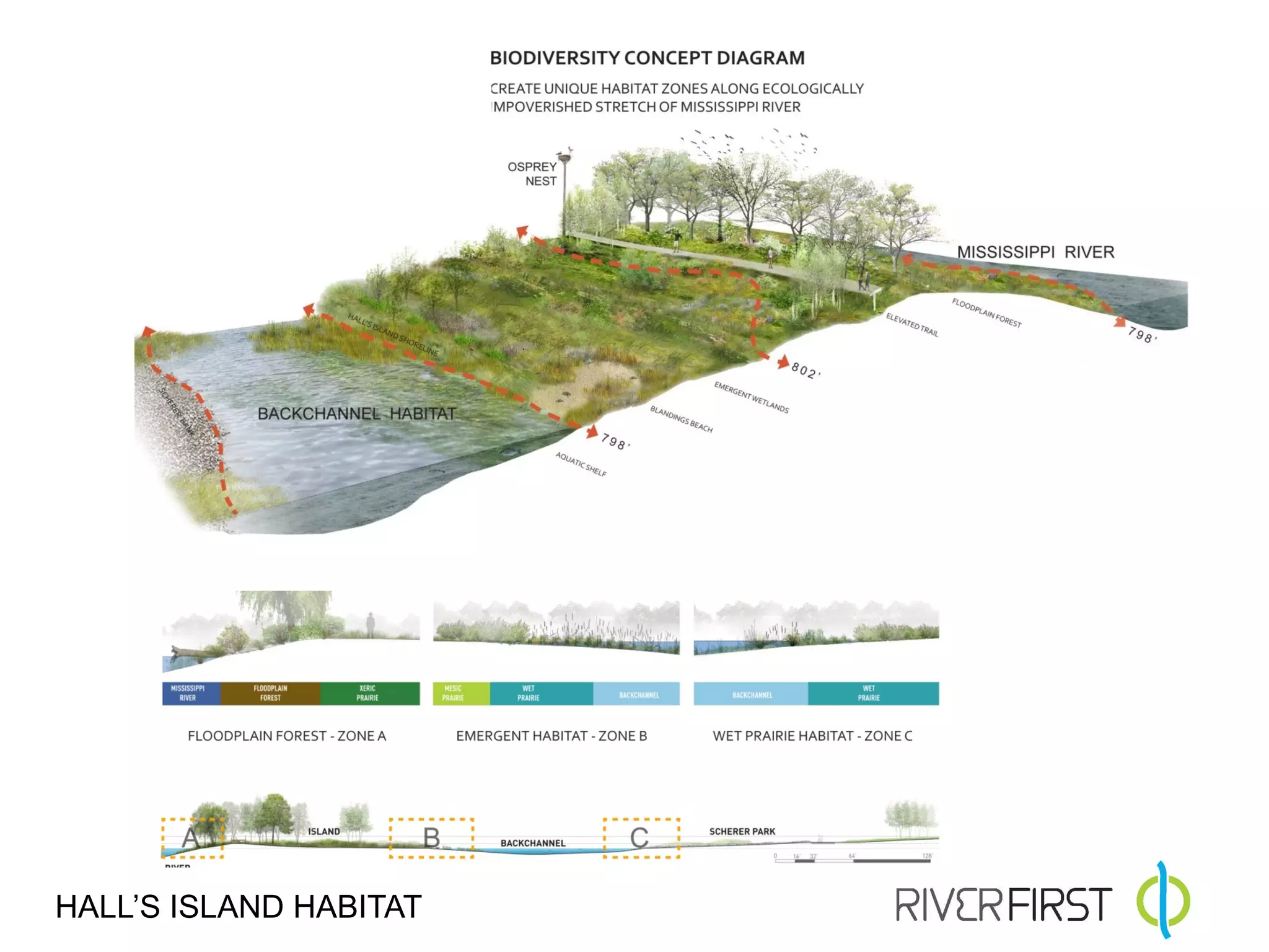 HALL’S ISLAND HABITAT
 