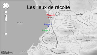 Les lieux de récolte
 