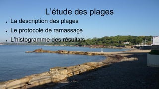 L’étude des plages
● La description des plages
● Le protocole de ramassage
● L’histogramme des résultats
 