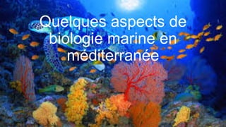 Quelques aspects de
biologie marine en
méditerranée
 