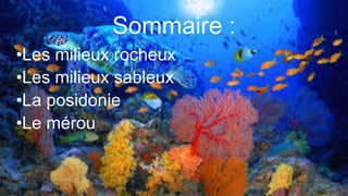 Sommaire :
•Les milieux rocheux
•Les milieux sableux
•La posidonie
•Le mérou
 