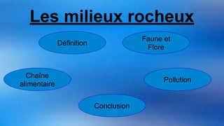 Les milieux rocheux
Chaîne
alimentaire
Définition
Faune et
Flore
Conclusion
Pollution
 
