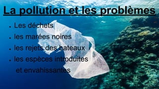 La pollution et les problèmes
● Les déchets
● les marées noires
● les rejets des bateaux
● les espèces introduites
et envahissantes
 