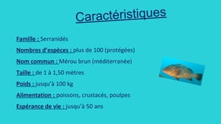 Caractéristiques
 